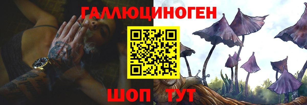 Галлюциногенные грибы Psilocybe Вичуга