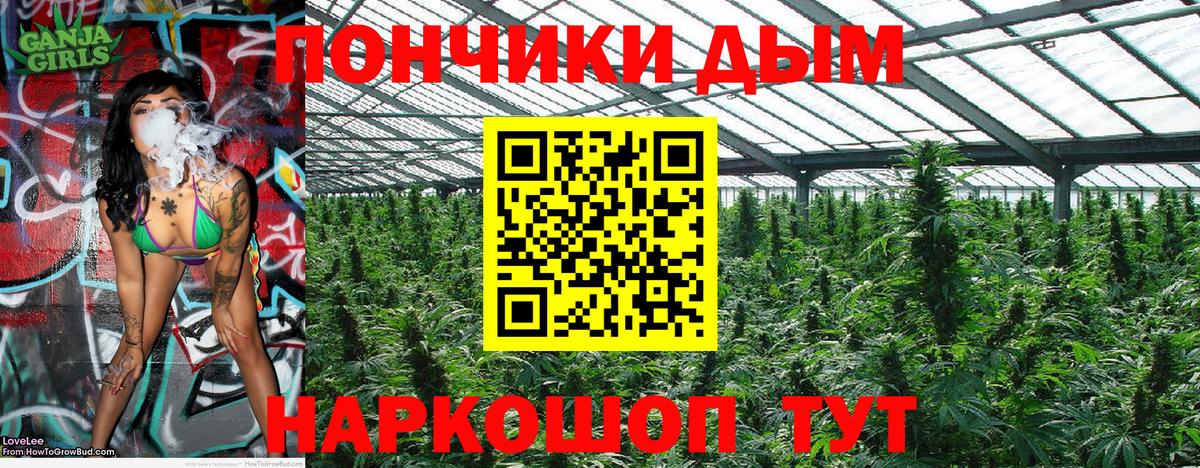 Канабис Ganja Вичуга
